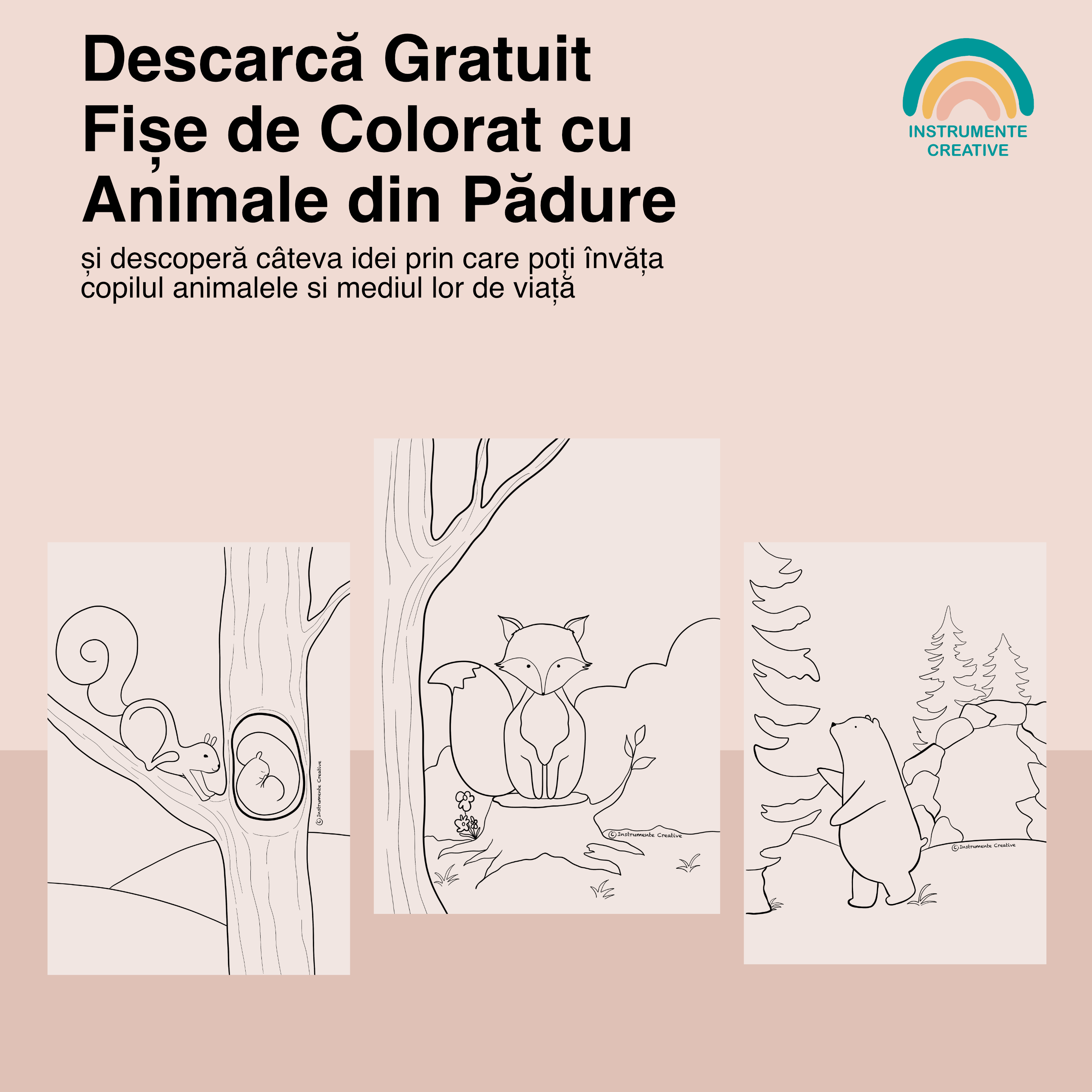 Fise de colorat pentru copii cu animale ilustrate in mediul lor de viata, veverita, vulpe, urs.