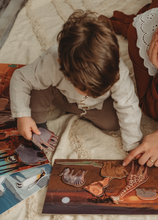 Încarcă imaginea în vizualizatorul Galerie, Animale și mediul lor de viață
